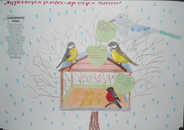 Плакат берегите птиц