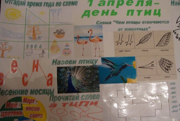 Забота о птицах зимой в детском саду