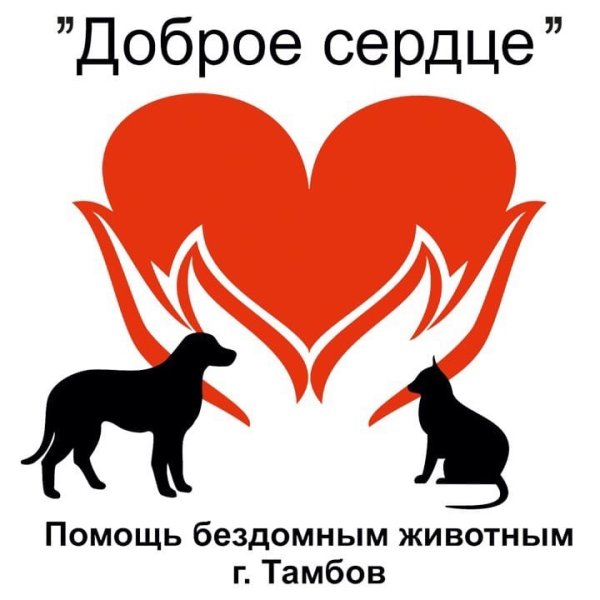 Приют доброе сердце