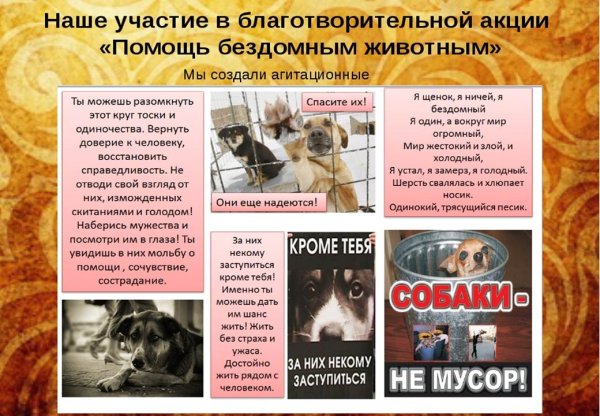 Листовки про бездомных животных