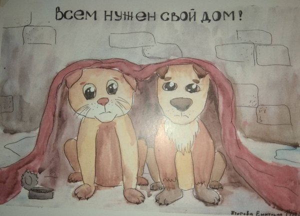 Плакат бездомные животные