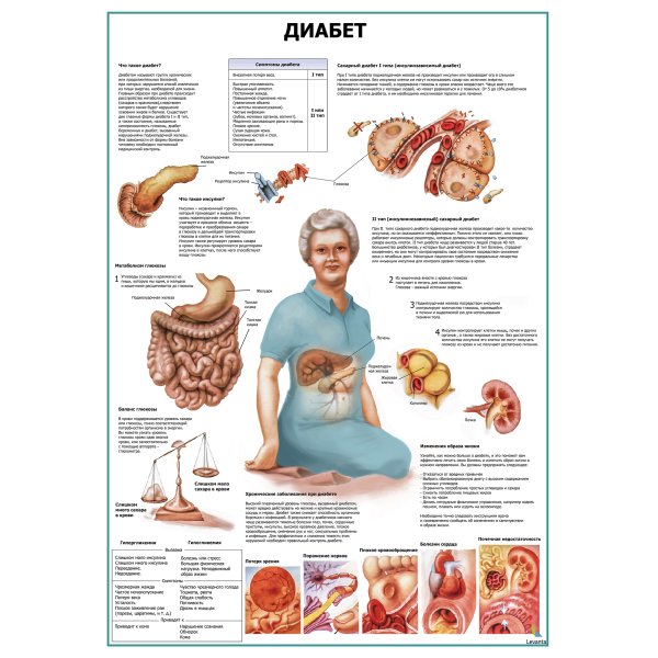 Профилактика по сахарному диабету 1 типа