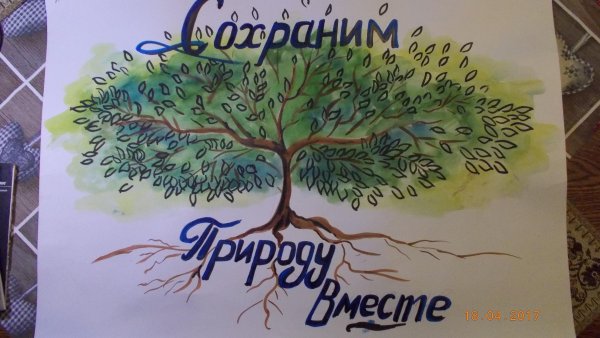 Сбережем природу вместе