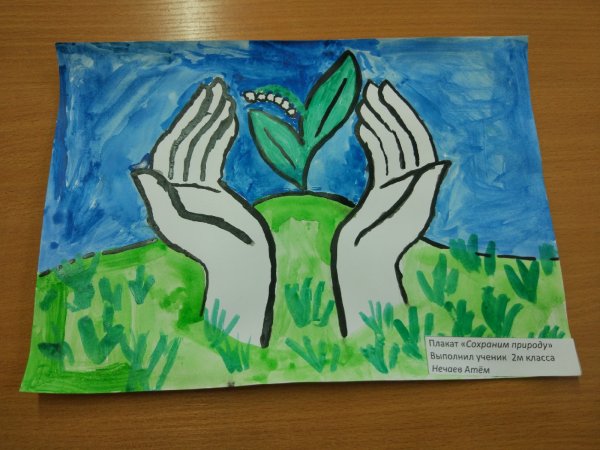 Рисунок на тему сохраним природу
