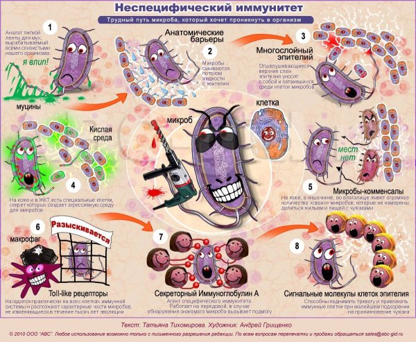 Неспецифический иммунитет