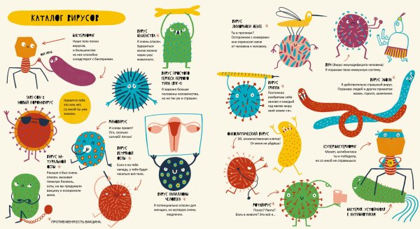 "Бактерии и вирусы в жизни человека"