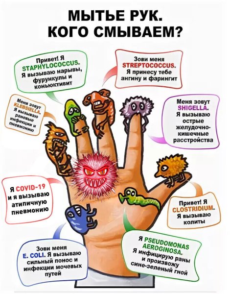 Почему нужно мыть руки