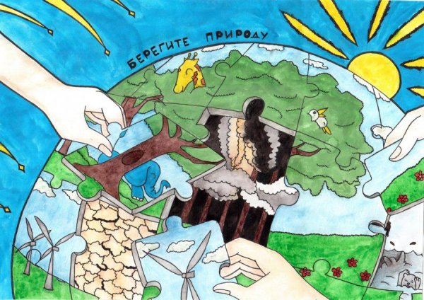 Рисунок на тему сохраним природу