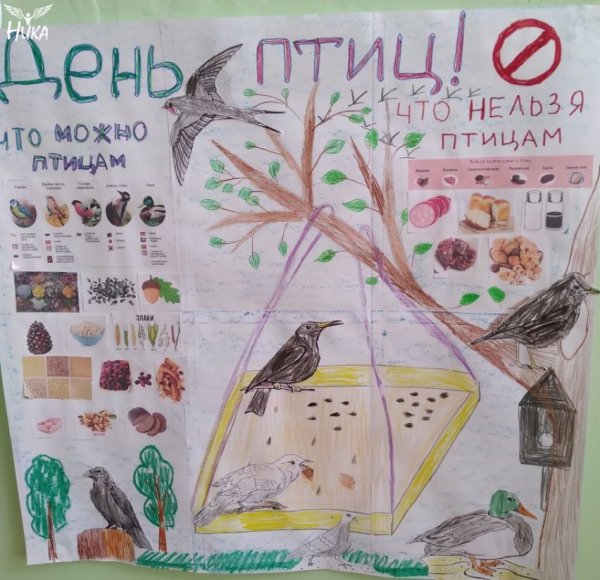 Плакат в защиту птиц