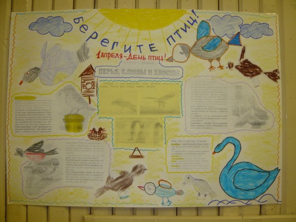 Листовки ко Дню птиц