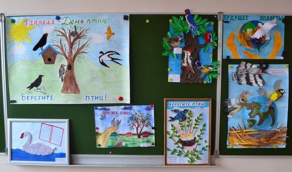 Плакат птицы