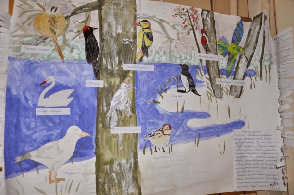 Международный день птиц рисунок