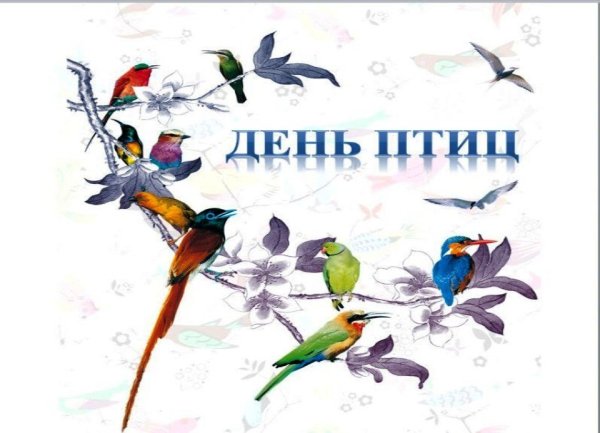 Плакат Покормите птиц зимой