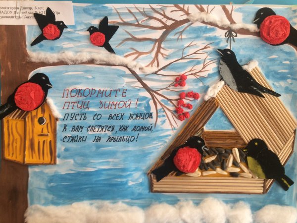 Листовки о защите птиц