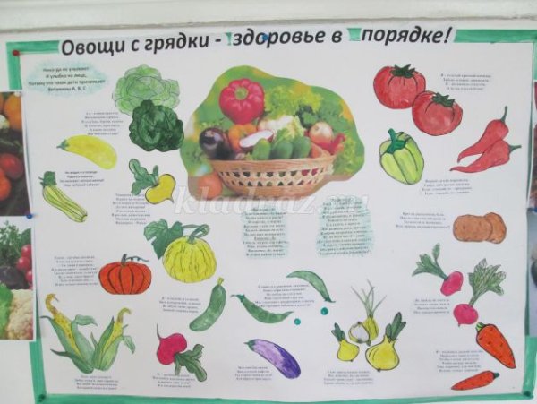 Стенгазета овощи и фрукты