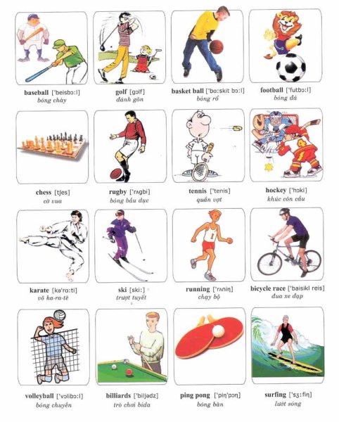 Виды спорта наьанглийском