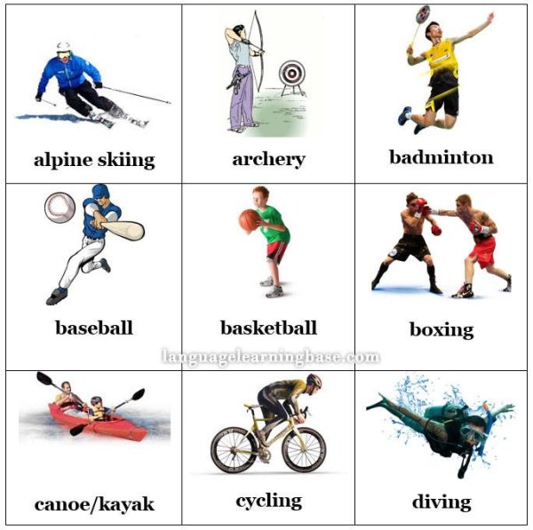 Виды спорта на английском