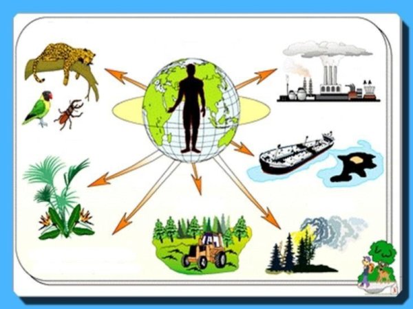 Полиция глазами детей