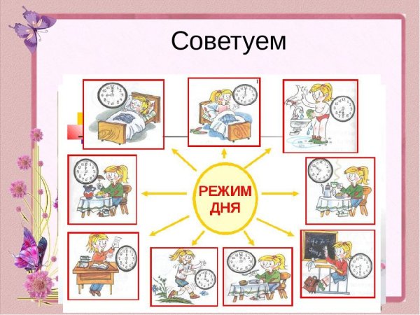 Распорядок дня