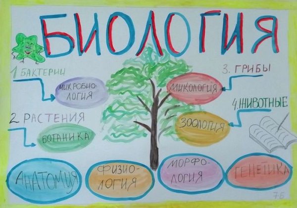 Плакат по биологии