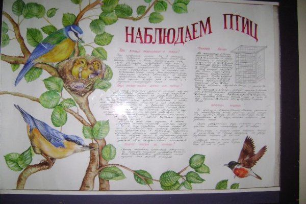 Газета по биологии