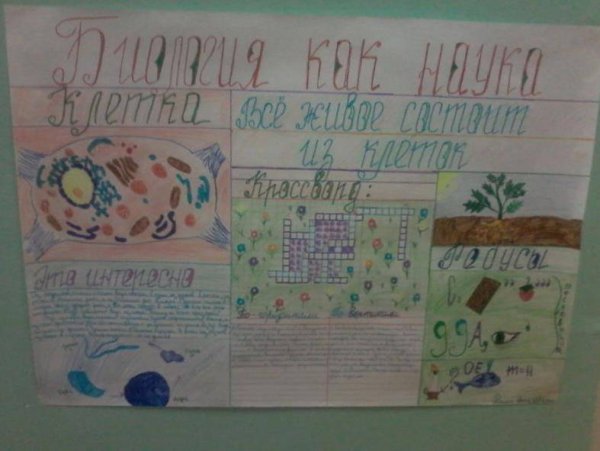 Плакат по биологии