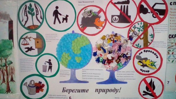 Неделя биологии в школе