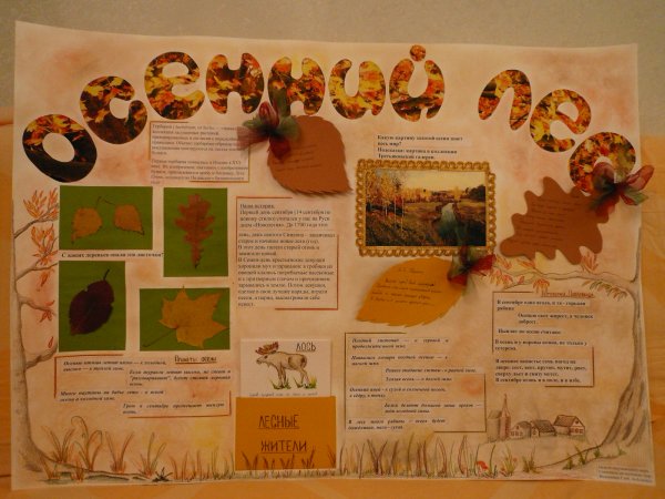 Газета Золотая осень