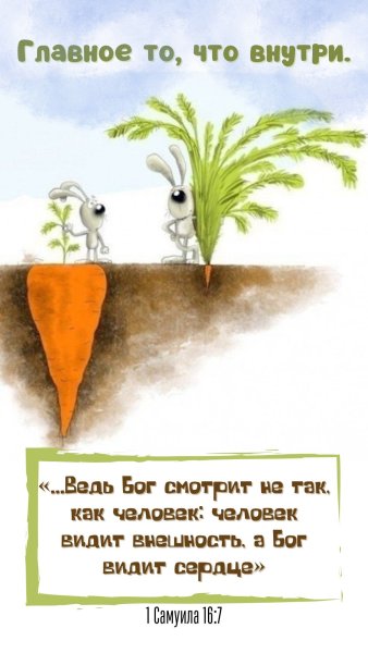 Внешность часто обманчива рисунок