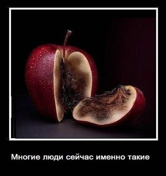 Красивое яблоко гнилое внутри