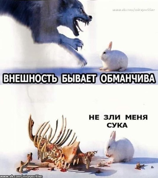 Внешность обманчива прикол