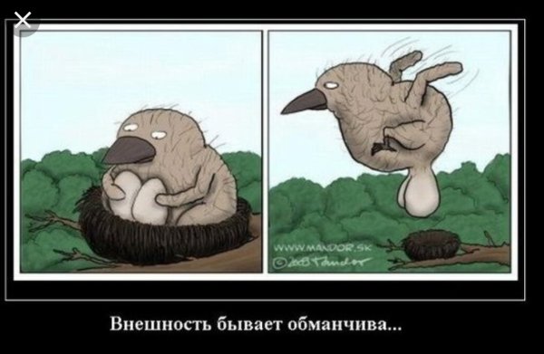 Внешность обманчива