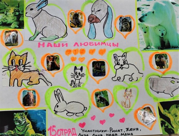 Плакаты о защите природы и животных