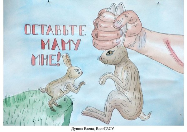 Охрана животного мира плакат