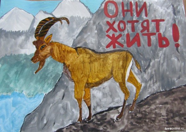 Плакат охрана животных