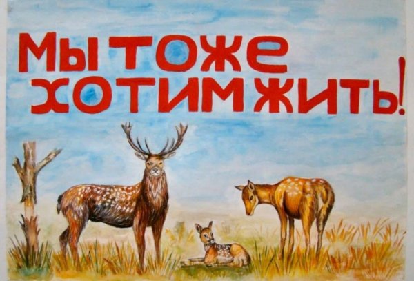 Плакат защити животных