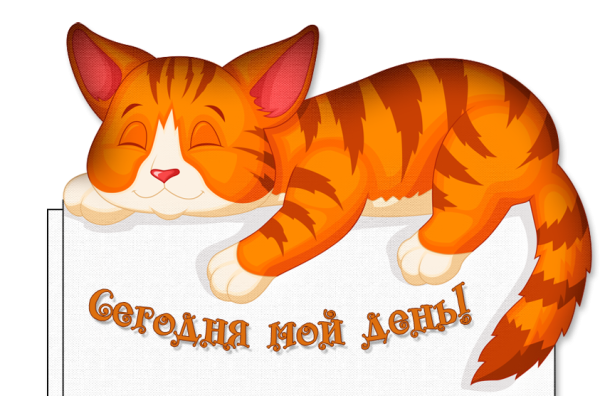 Всемирный день кошек