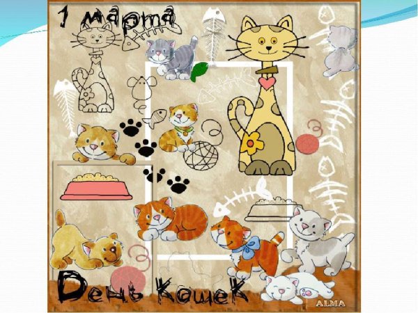 1 Марта Всемирный день кошек