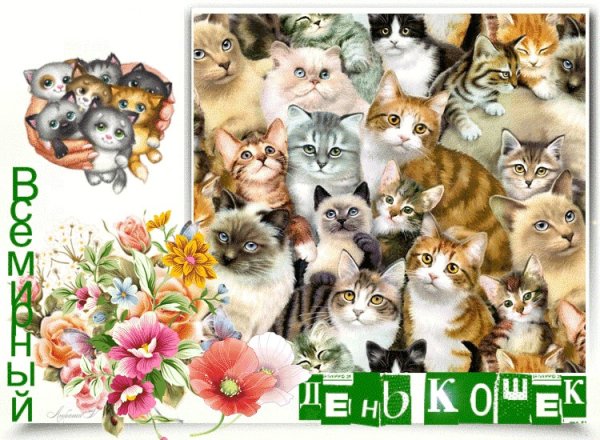 8 Августа Всемирный день кошек 8 августа