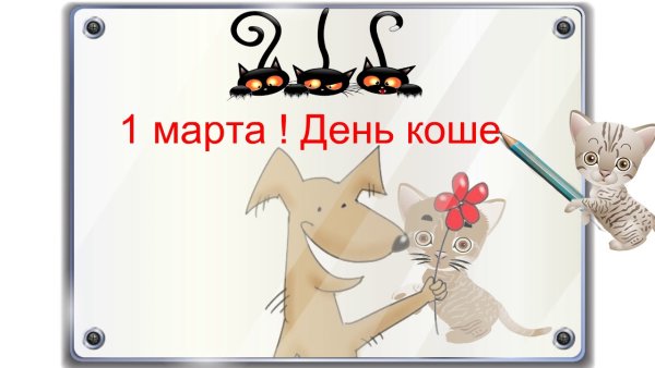 День кошек сценарий