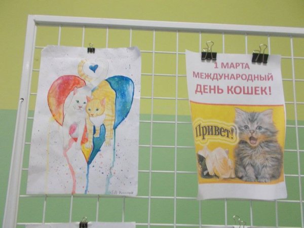 Интересные факты о кошках