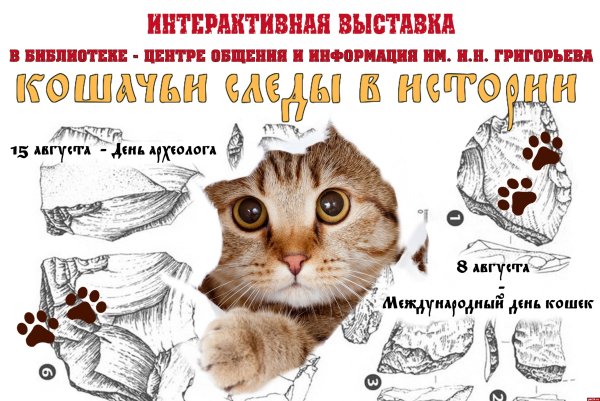 Рамка с кошками для презентации