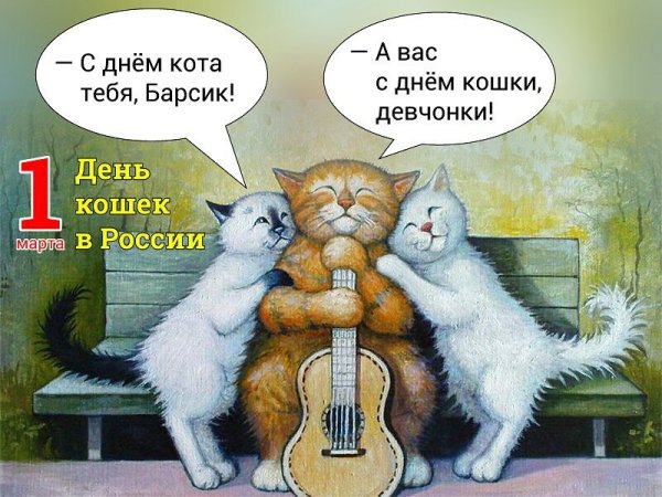 Без кота и жизнь не та