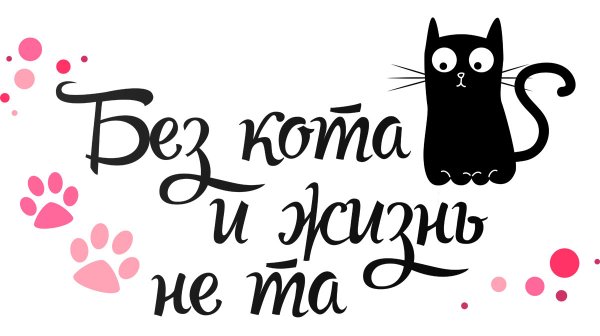 Котенок с цветами 8 марта