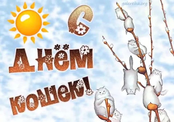 День кошек