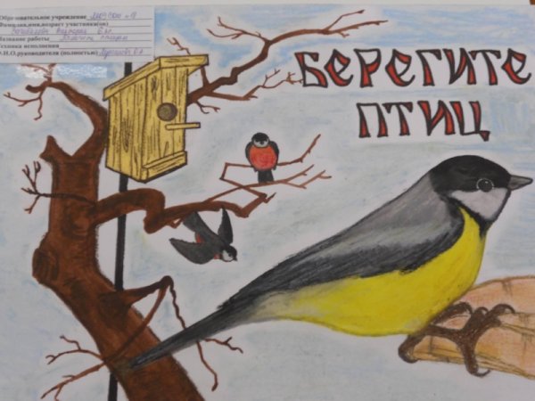 Плакат берегите птиц