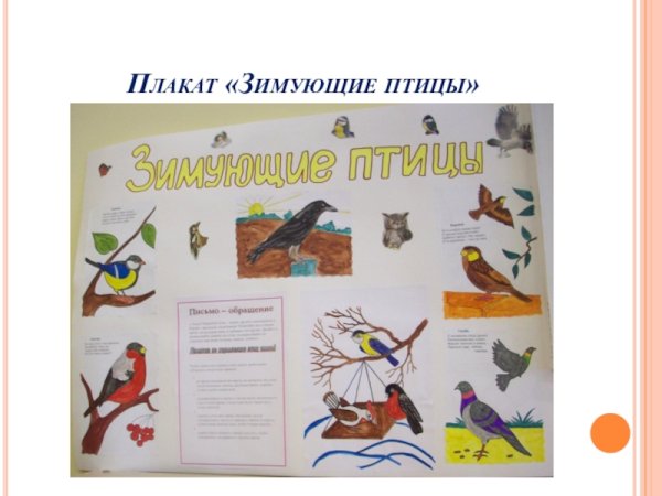 Стенгазета зимующие птицы
