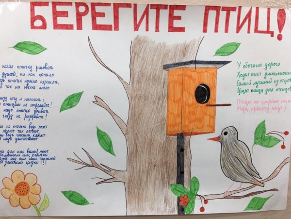 Плакат на тему зимующие птицы