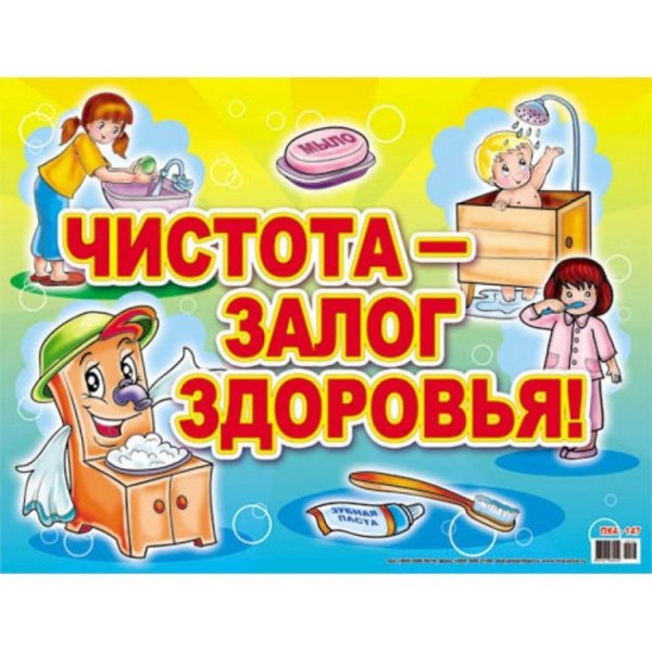 Чистота природы начинается с тебя плакат