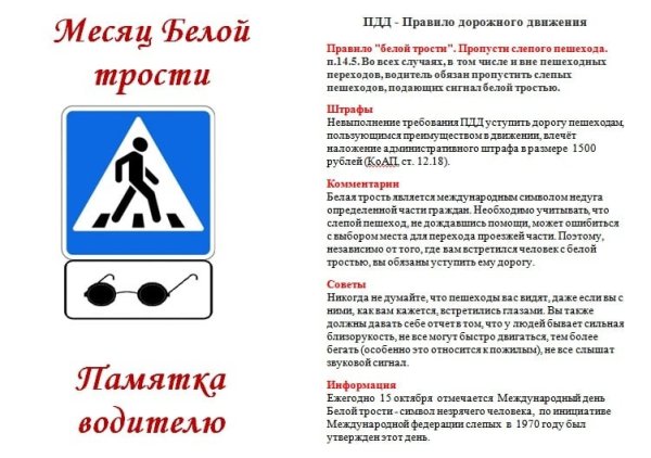 Памятка белая трость